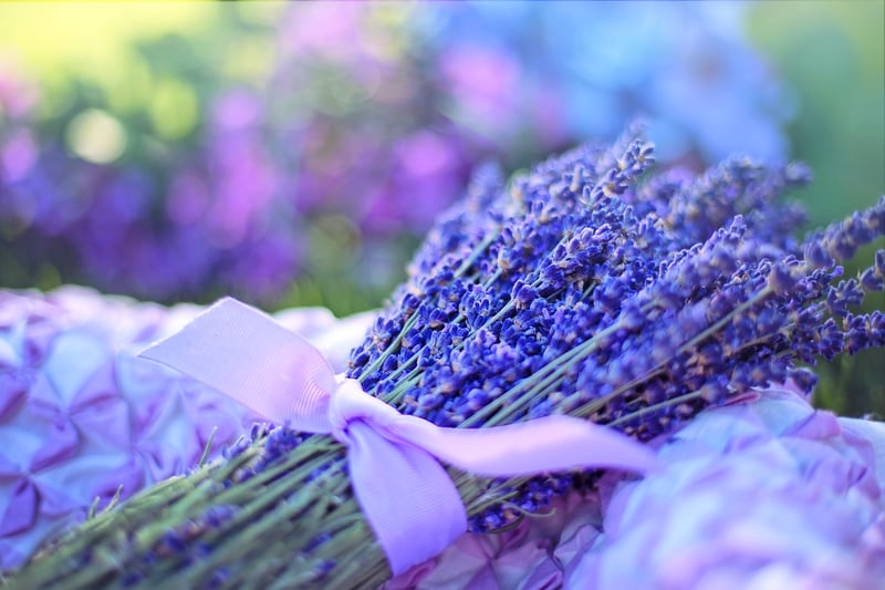 Herbal Lore