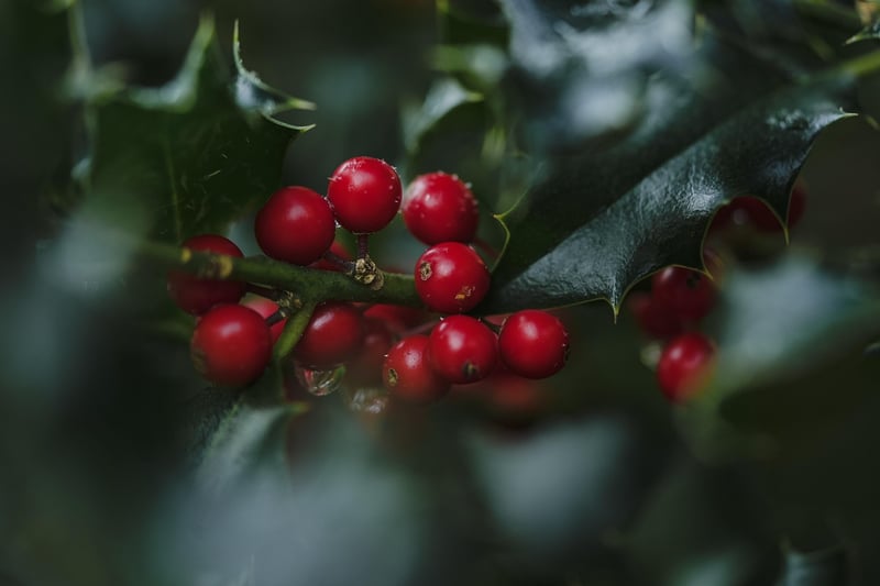 Seasonal Cycles